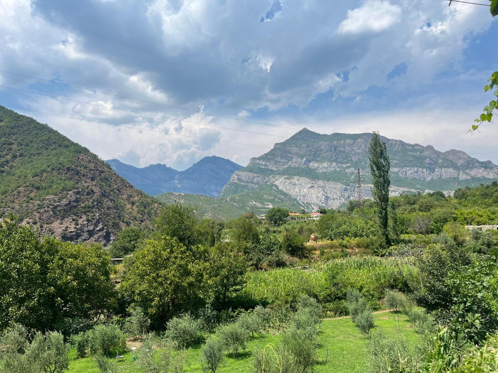 Hotel Davids Koman Dış mekan fotoğraf